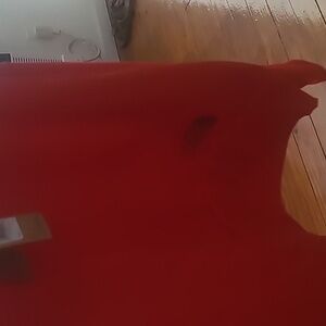 North Face Fiery Red Large  Oversize Sweter for women New with tags